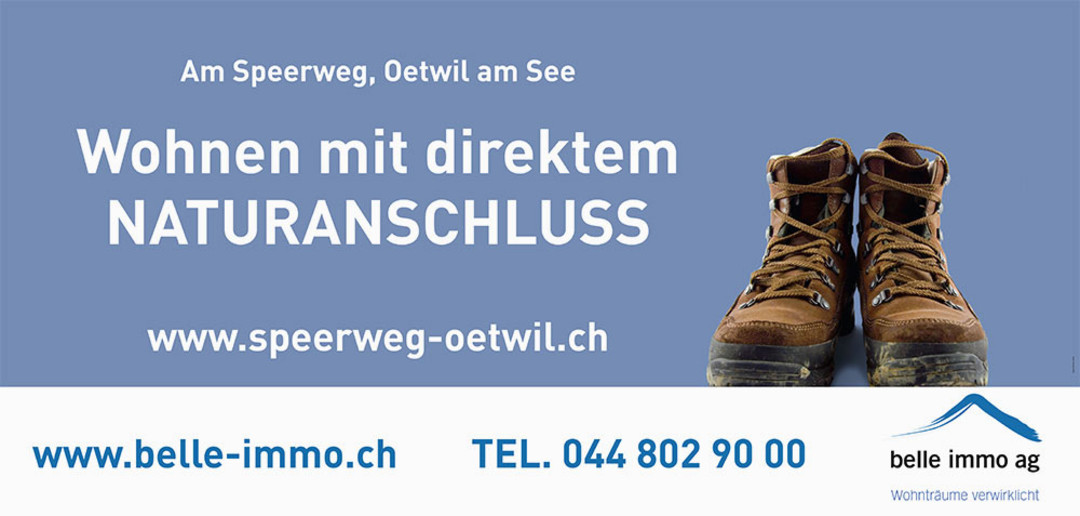 Plakatkonzept belle immo