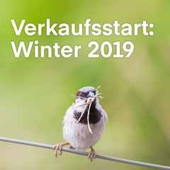 WEBSITE FÜR BELLE IMMO AG