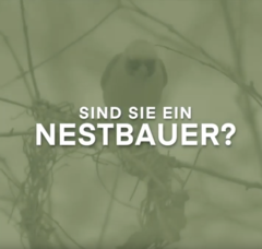 WEBSITE FÜR BELLE IMMO AG