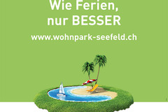 Plakatkonzept belle immo