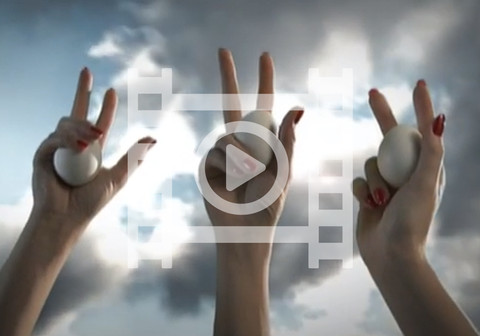 Wir schwören auf das Schweizer Ei (DE)