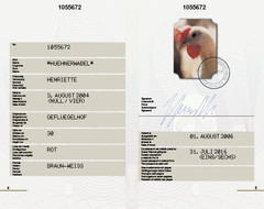 Wir schwören auf das Schweizer Ei (DE)