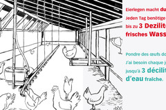 Gallo Suisse auch für die Kleinen