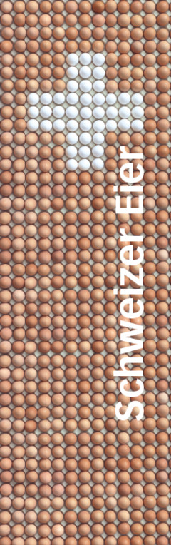 Wir schwören auf das Schweizer Ei (DE)