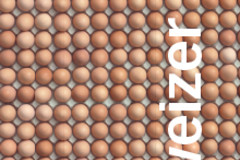 Gallo Suisse an Messen