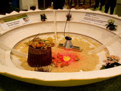 Wir schwören auf das Schweizer Ei (DE)