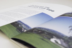 Rietwis Park - Im Herzen von Egg