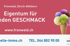 Plakatkonzept belle immo