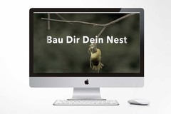 WEBSITE FÜR BELLE IMMO AG